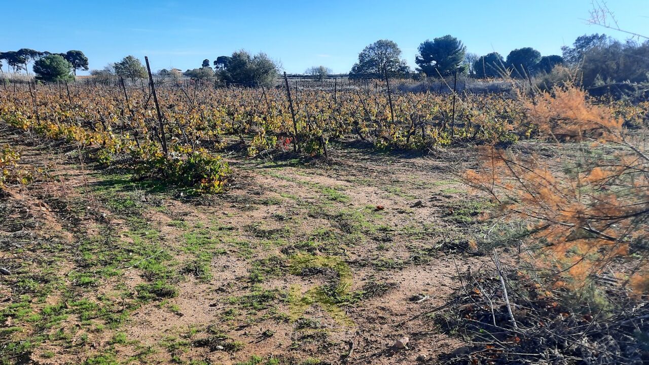 terrain  pièces  m2 à vendre à Portiragnes (34420)