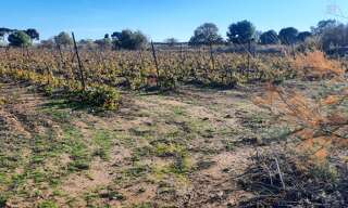 Terrain   m² à vendre à Portiragnes (34420)