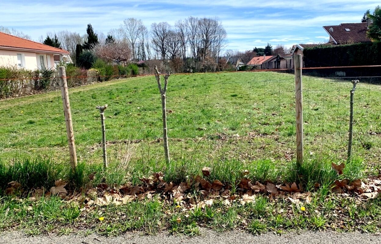 terrain  pièces 3000 m2 à vendre à Odos (65310)