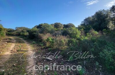 vente terrain 995 000 € à proximité de Pianottoli-Caldarello (20131)