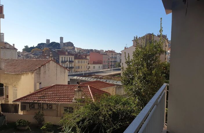 Studio Cannes limite banane — photo 5
