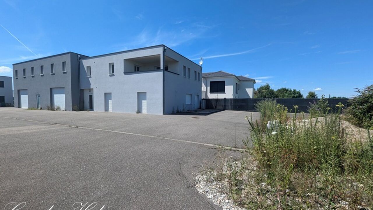 commerce 9 pièces 550 m2 à vendre à Blotzheim (68730)