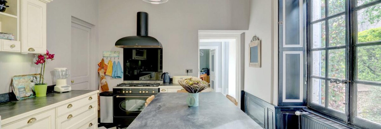 Maison 10 Pièces 313 m² à vendre à Mer (41500)