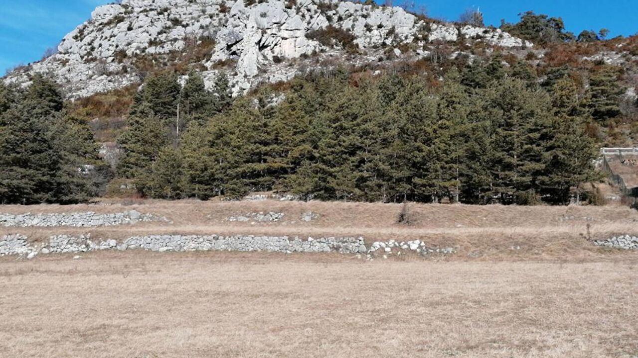 terrain  pièces 3000 m2 à vendre à Caille (06750)