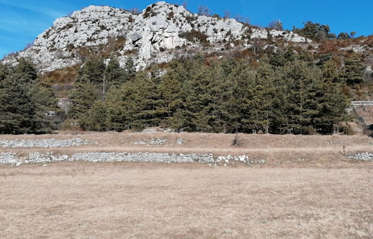 terrain  pièces 3000 m2 à vendre à Caille (06750)