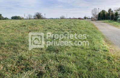 vente terrain 31 368 € à proximité de Castelnau-Tursan (40320)