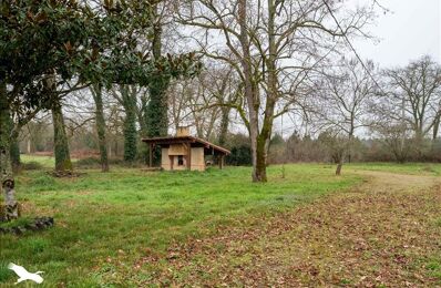 vente maison 390 350 € à proximité de Bretagne-de-Marsan (40280)