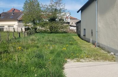 vente maison 19 000 € à proximité de Scey-sur-Saône-Et-Saint-Albin (70360)