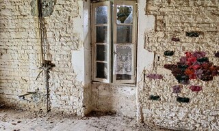 Photo N° 8