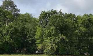 Maison 4 Pièces 85 m² à vendre à Sainte-Eulalie-en-Born (40200)