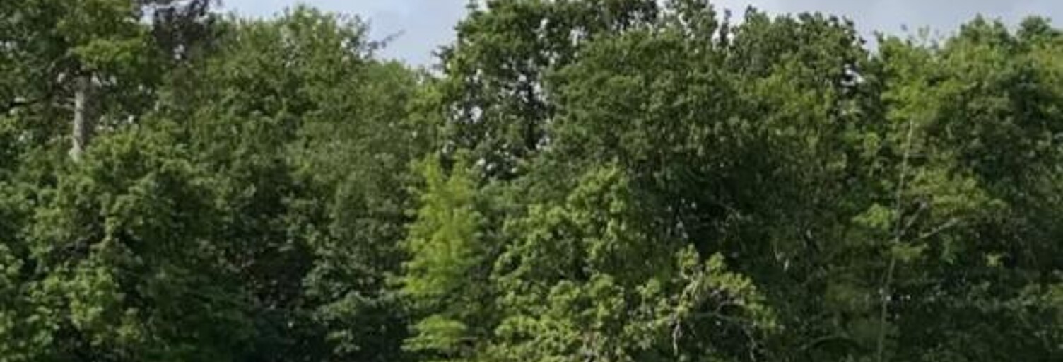 Maison 4 Pièces 85 m² à vendre à Sainte-Eulalie-en-Born (40200)