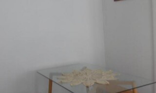 Photo N° 7