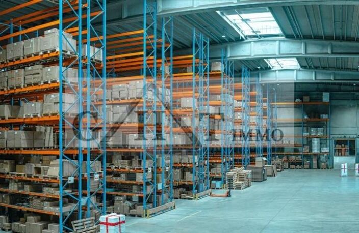 ENTREPOT 21 500 M² A LOUER MOISSY — photo 2