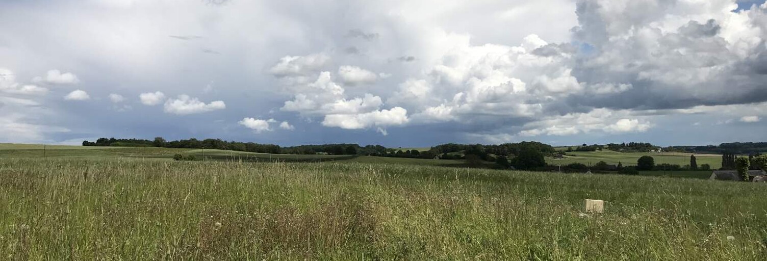 Terrain  2419 m² à vendre à Avon-les-Roches (37220)