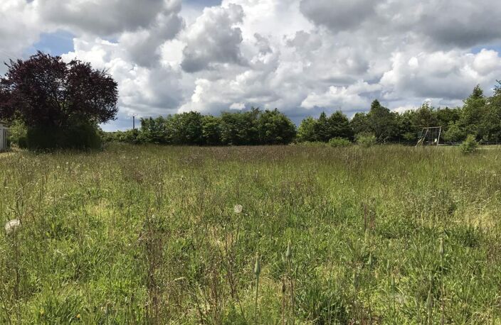 Vente terrain  2419 m² Avon-les-Roches (37220) — photo 2