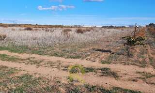 Terrain   m² à vendre à Portiragnes (34420)