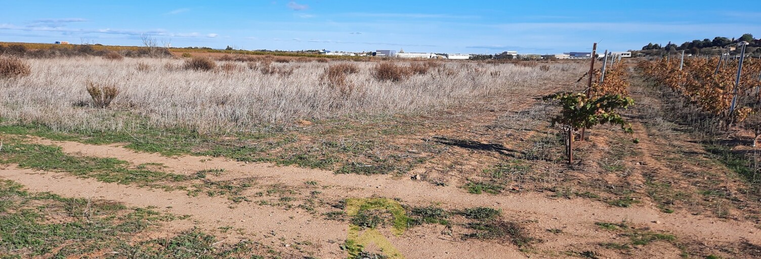 Terrain   m² à vendre à Portiragnes (34420)