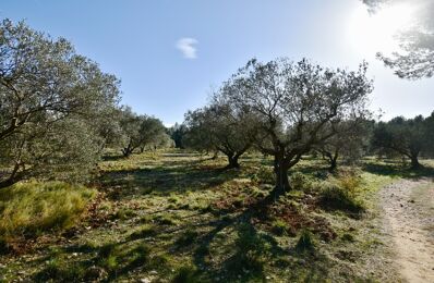 vente terrain 88 500 € à proximité de Maussane-les-Alpilles (13520)