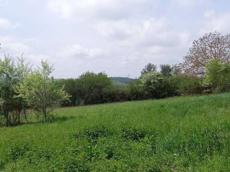  Axe Marmande Miramont — photo 1