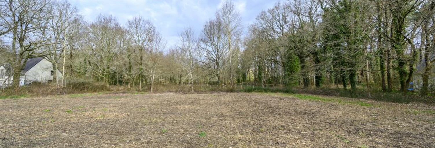 Terrain  1209 m² à vendre à Férel (56130)