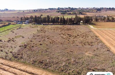 terrain  pièces 3200 m2 à vendre à Portiragnes (34420)