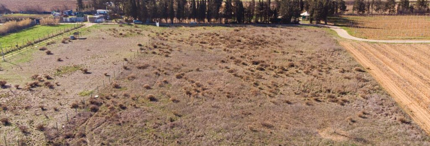 Terrain  3200 m² à vendre à Portiragnes (34420)