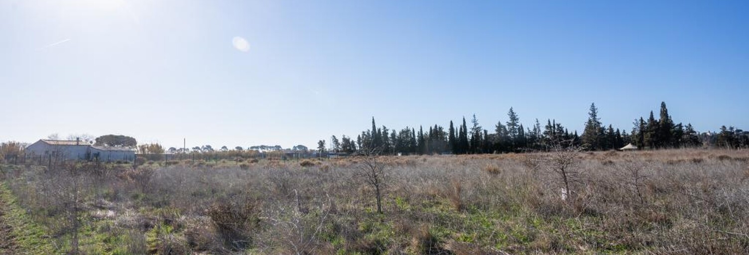 Terrain  3200 m² à vendre à Portiragnes (34420)