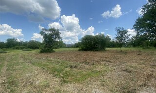 Photo N° 4