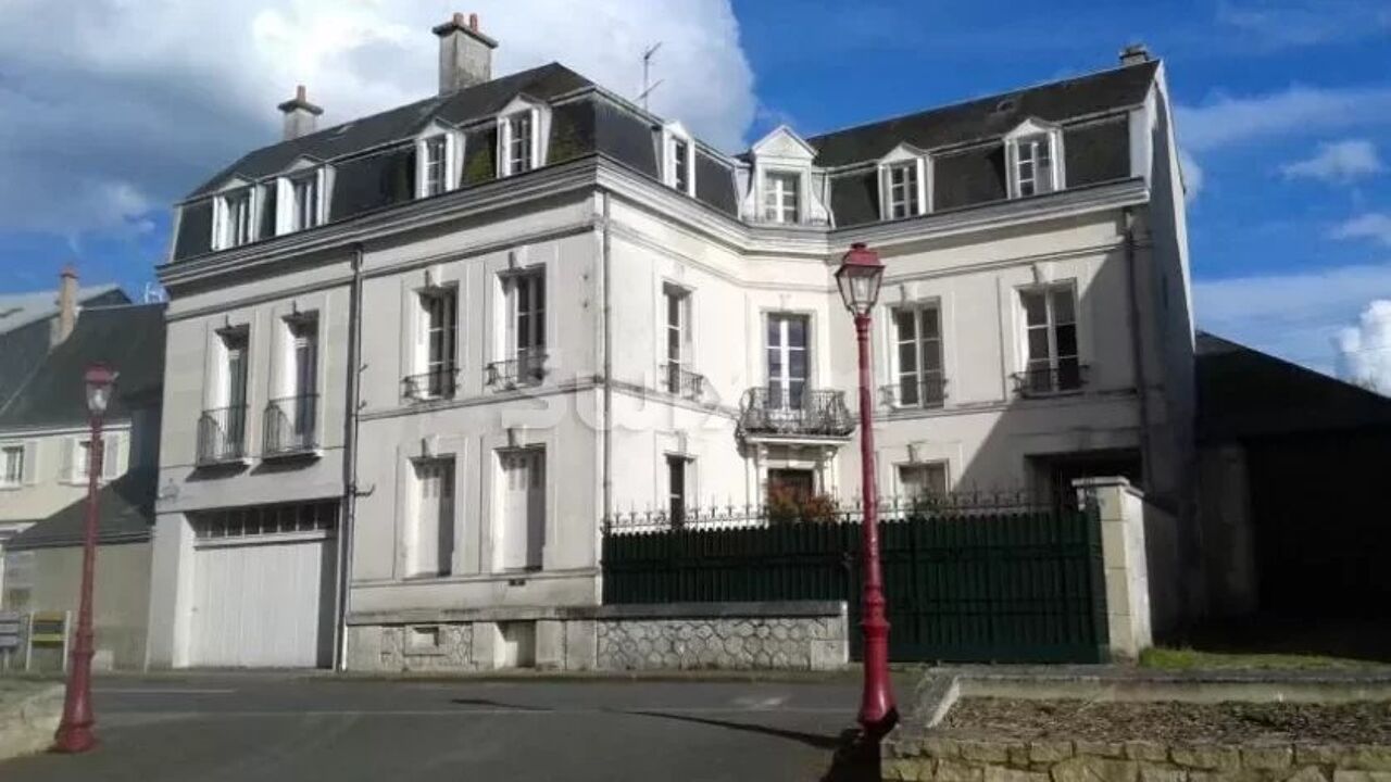 maison 13 pièces 320 m2 à vendre à Savigny-sur-Braye (41360)