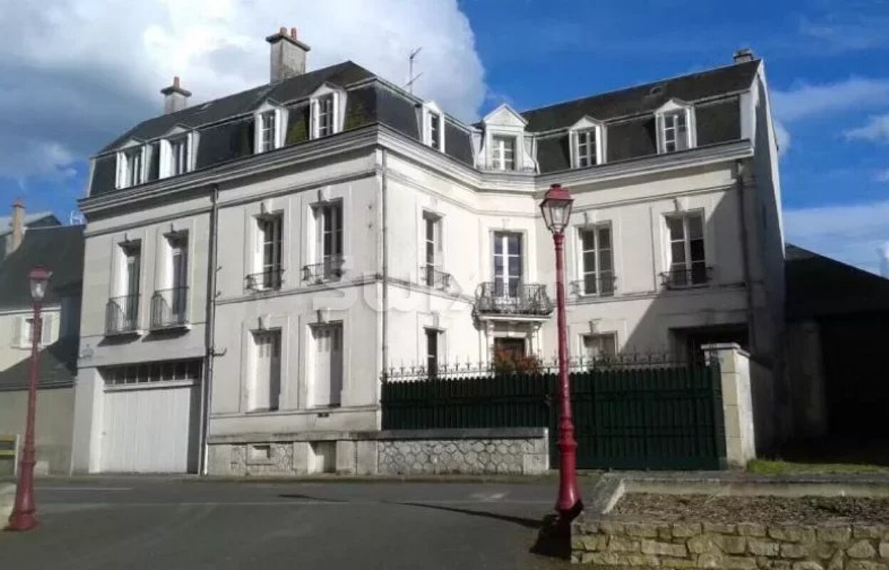 maison 13 pièces 320 m2 à vendre à Savigny-sur-Braye (41360)