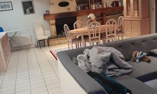 Photo N° 6