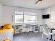 Studio - 19m ² — photo 3