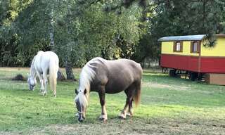 Maison 9 Pièces 200 m² à vendre à La Rochelle (17000)