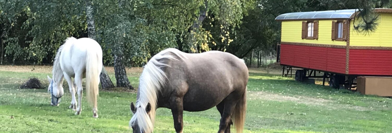 Maison 9 Pièces 200 m² à vendre à La Rochelle (17000)