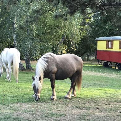 Maison 9 pièces 1435000 €