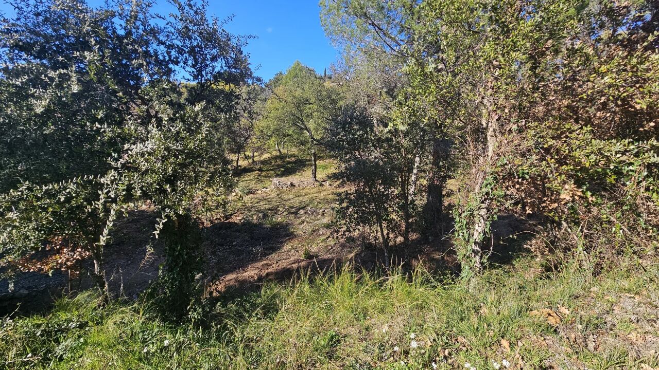 terrain  pièces 1300 m2 à vendre à Vidauban (83550)