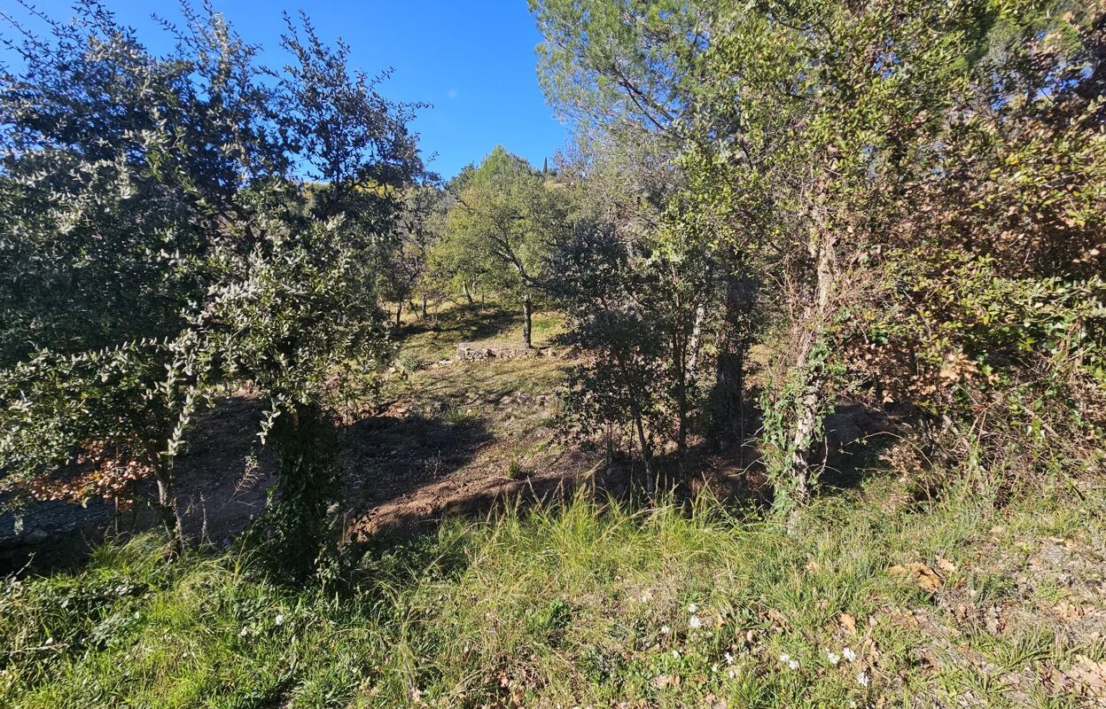 terrain  pièces 1300 m2 à vendre à Vidauban (83550)