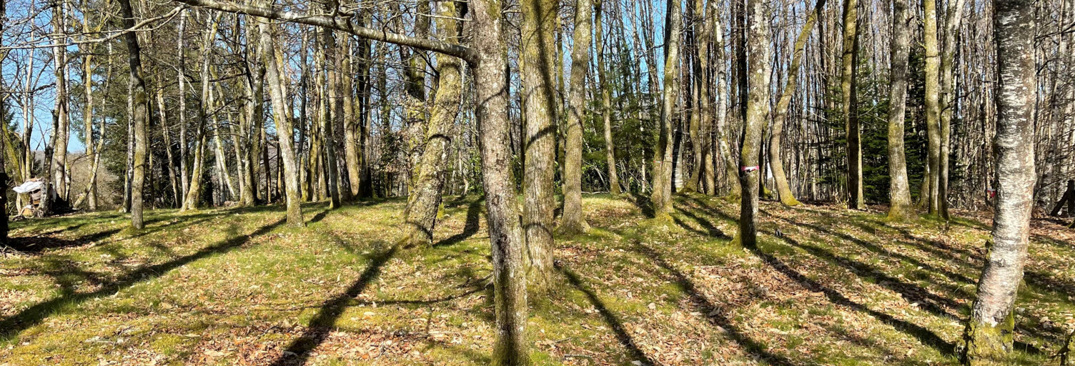 Terrain  2300 m² à vendre à Ambazac (87240)