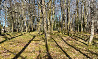 Terrain  2300 m² à vendre à Ambazac (87240)