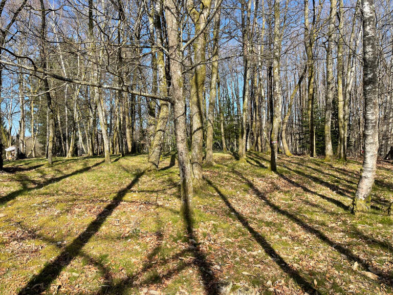Ambazac terrain à bâtir 2300 m2 — photo 1