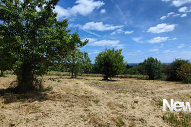 Terrain  55000 €