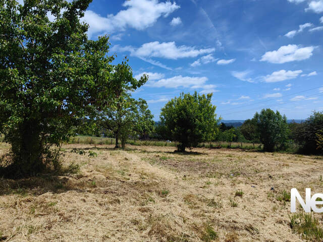 Très beau terrain de plus de 2000 m² sur les hauteurs de DONZENAC — photo du bien