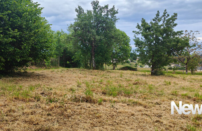 Très beau terrain de plus de 2000 m² sur les hauteurs de DONZENAC — photo 4