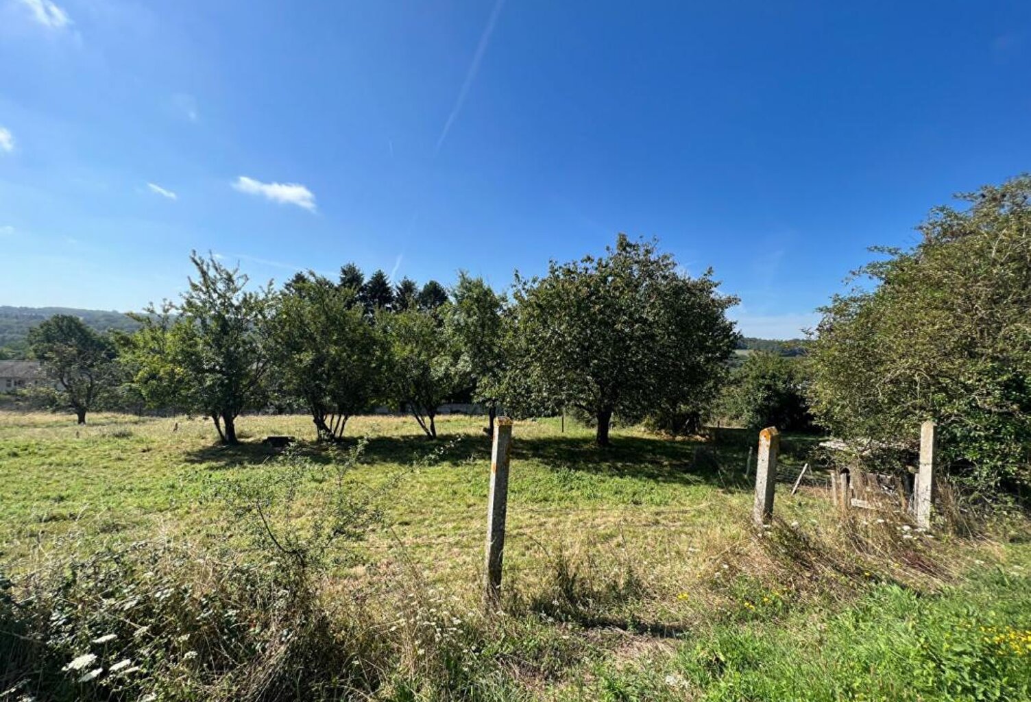 Terrain À Vendre — photo 1