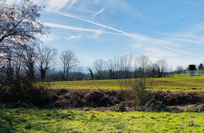 terrain  pièces 1791 m2 à vendre à Tournay (65190)