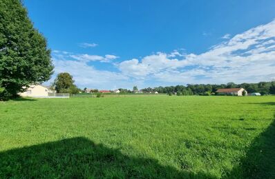 terrain  pièces 2215 m2 à vendre à Rimaucourt (52700)