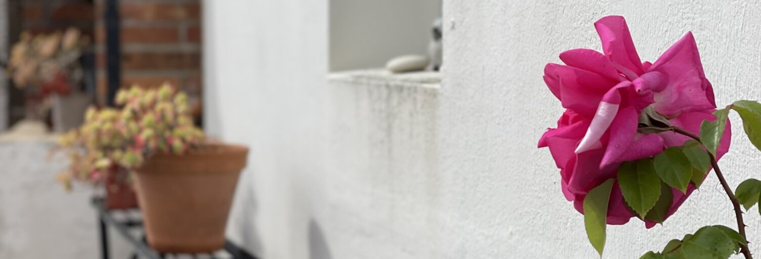 Maison 5 Pièces 120 m² à vendre à Longeville-sur-Mer (85560)