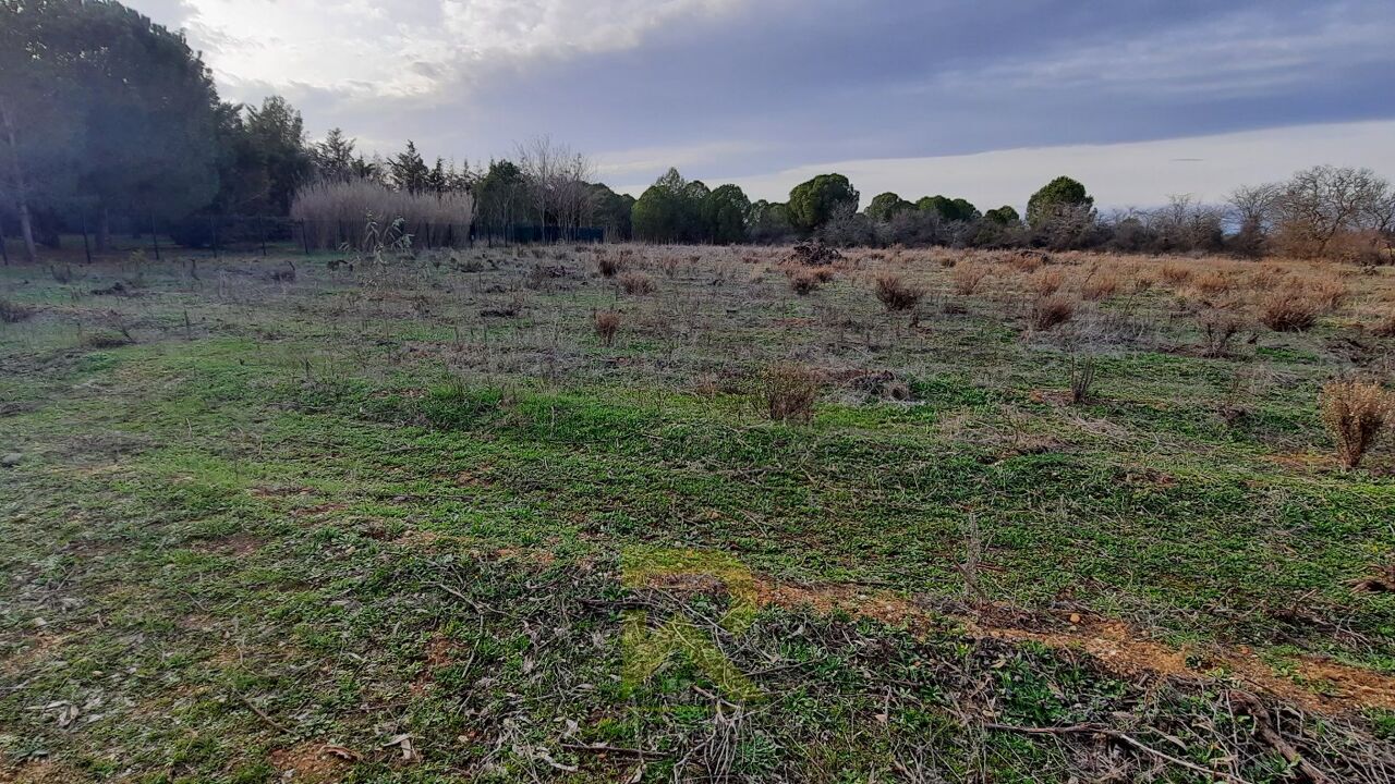 terrain  pièces  m2 à vendre à Portiragnes (34420)