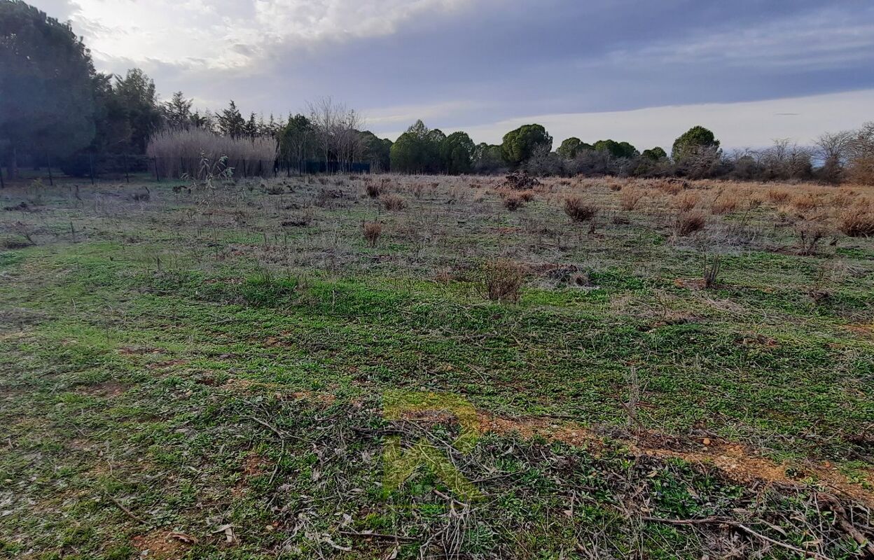 terrain  pièces  m2 à vendre à Portiragnes (34420)