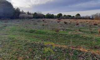 Terrain   m² à vendre à Portiragnes (34420)